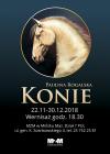 Wernisaż malarstwa Pauliny Rogalskiej pt. „Konie”