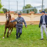 IMG_0016 fot. Rafa Szczepankowski