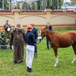 IMG_9675 fot. Rafa Szczepankowski