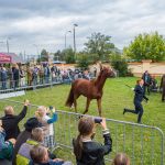 IMG_9718 fot. Rafa Szczepankowski