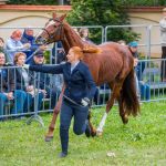 IMG_9721 fot. Rafa Szczepankowski