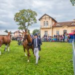 IMG_9792 fot. Rafa Szczepankowski