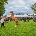 IMG_9816 fot. Rafa Szczepankowski