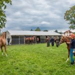 IMG_9820 fot. Rafa Szczepankowski