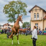 IMG_9839 fot. Rafa Szczepankowski