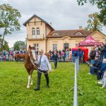 IMG_9847 fot. Rafa Szczepankowski