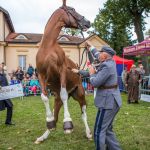 IMG_9971 fot. Rafa Szczepankowski