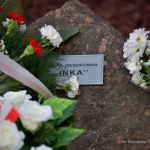 027_2019_ZW_Salezjanie