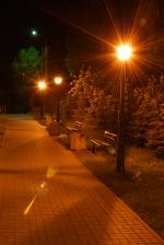 Alejka w Parku Miejskim