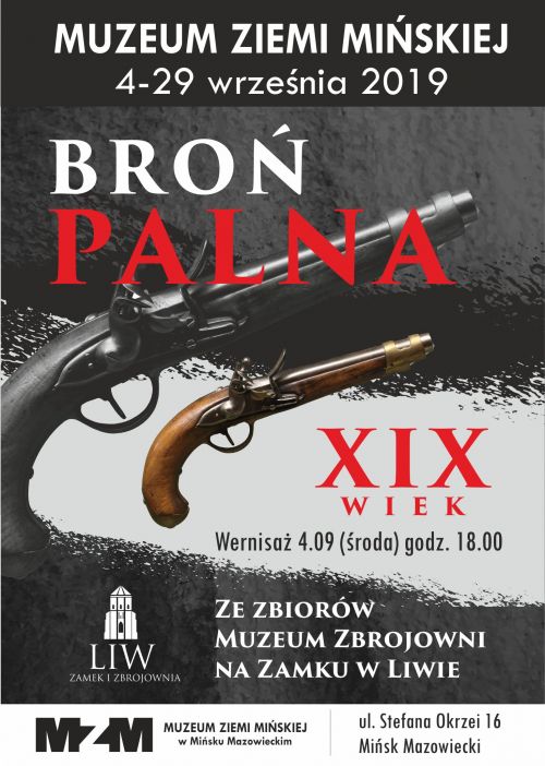 Broń Palna do internetu