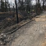 92327366_219988229218060_2663821648502718464_n