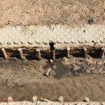 92923919_273654800298707_1323947055088926720_n