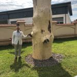 103973525_1592844297537411_1049301566777484163_n