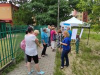 27.06 konsultacje (4)