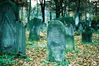 Cmentarz żydowski (kirkut)