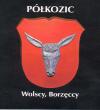 Herb Półkozic - Wolscy, Borzęccy