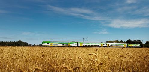 Bilety na „Słoneczny” i „Dragon” w promocyjnej cenie