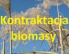 Strategia rozwoju rynku biomasy